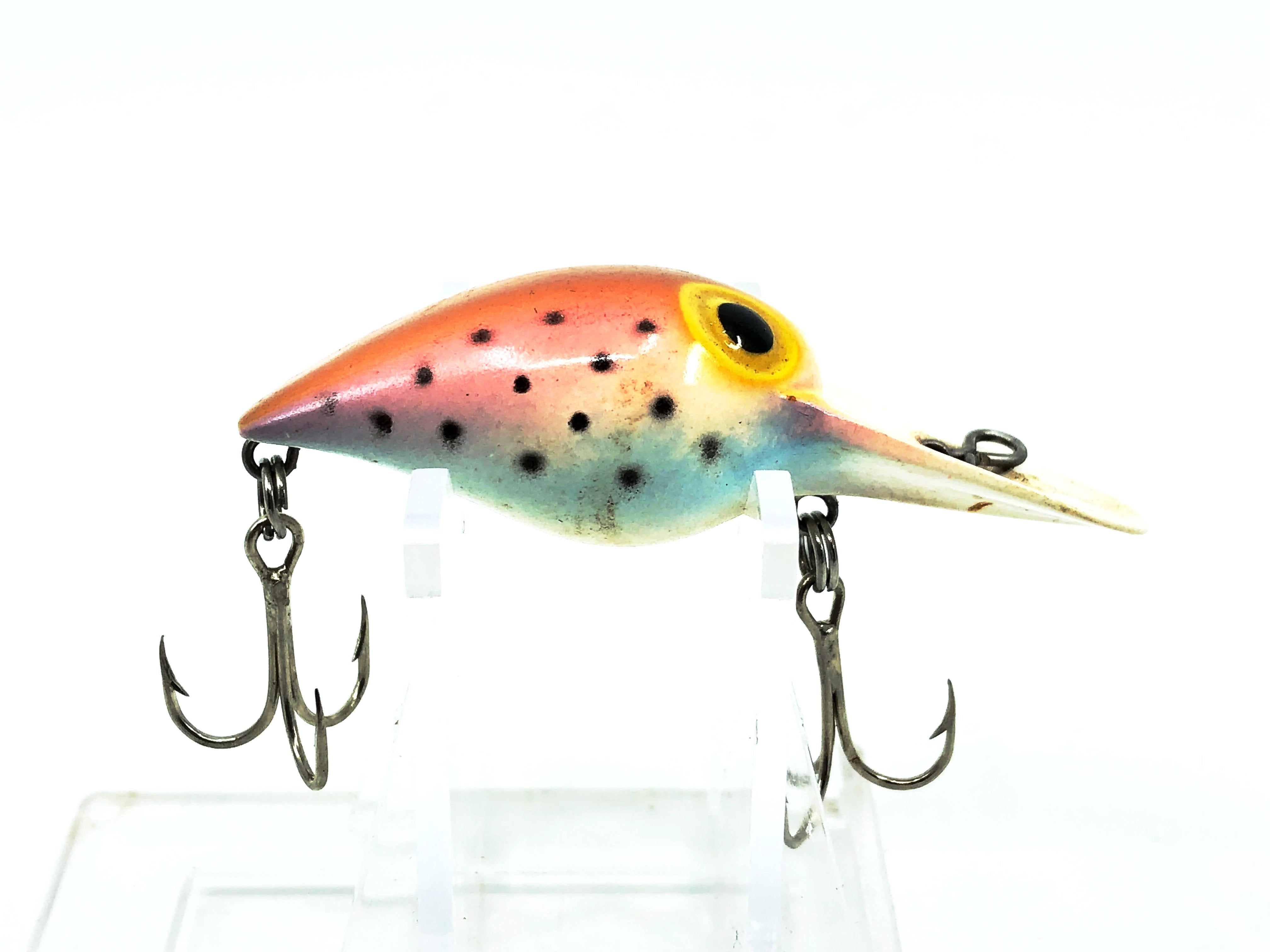 Storm Wiggle Wee Wart, #41 Rainbow Trout Color – My Bait Shop, LLC