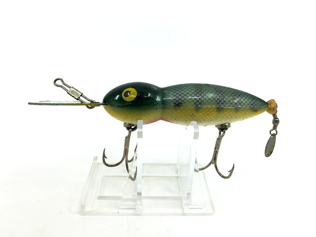 Whopper Stopper Hellbender, Perch Color