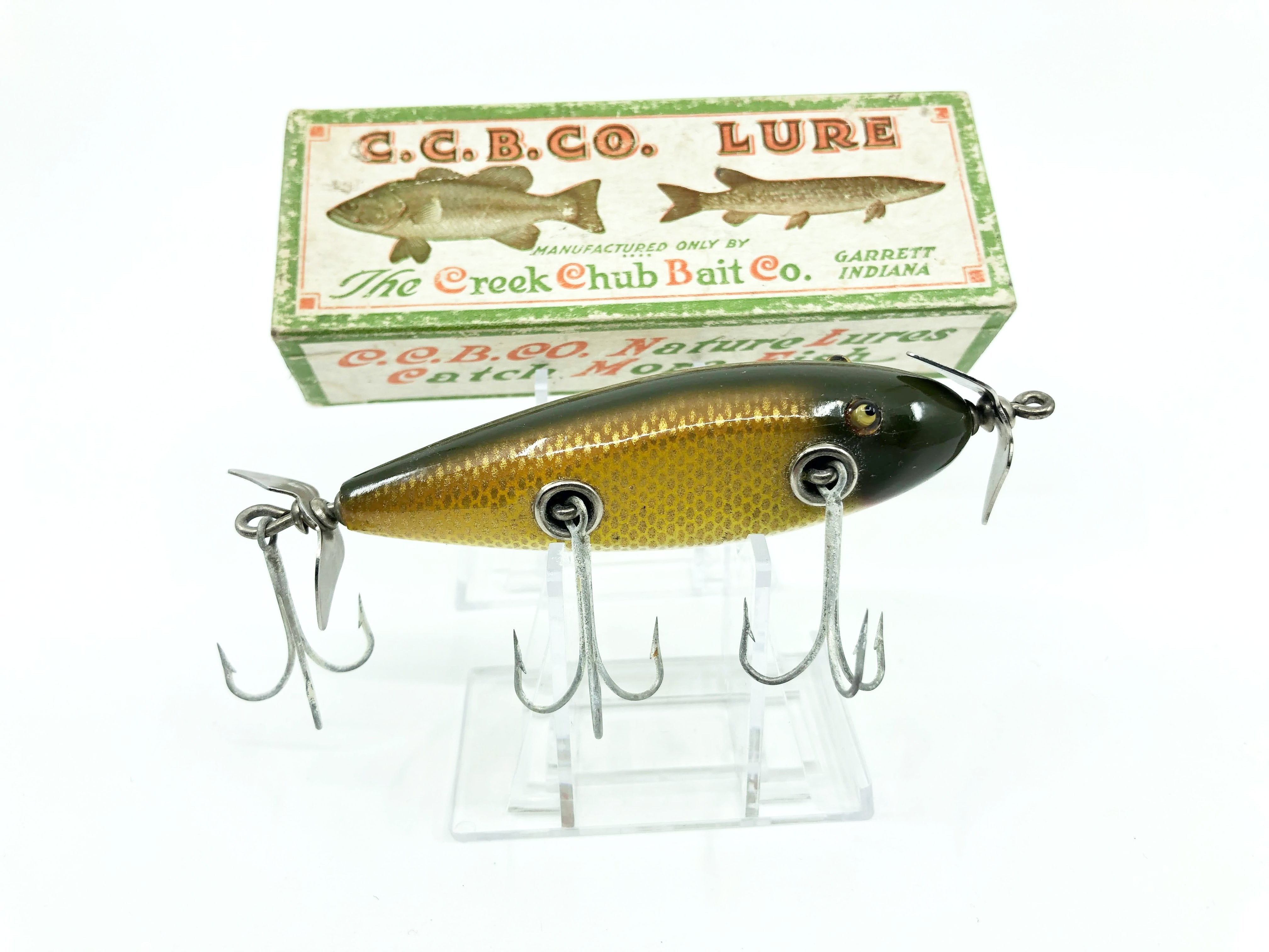 Creek Chub Injured Minnow 1500 Golden Shiner 1504 Color with Box