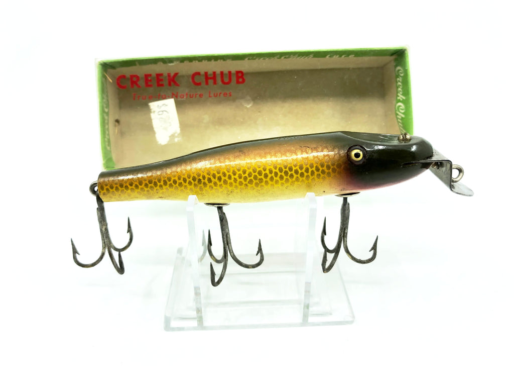 Most Valuable Creek Chub Lures