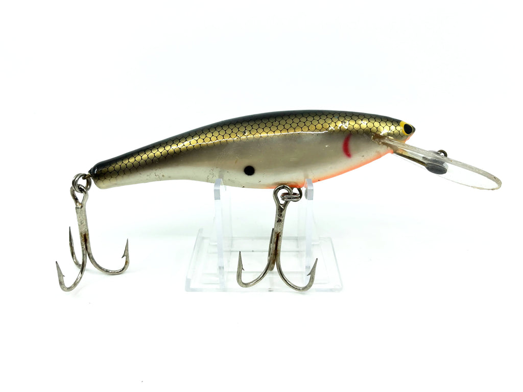 Bagley DB08, TS Tennessee Shad Color - Earlier Vintage – My Bait