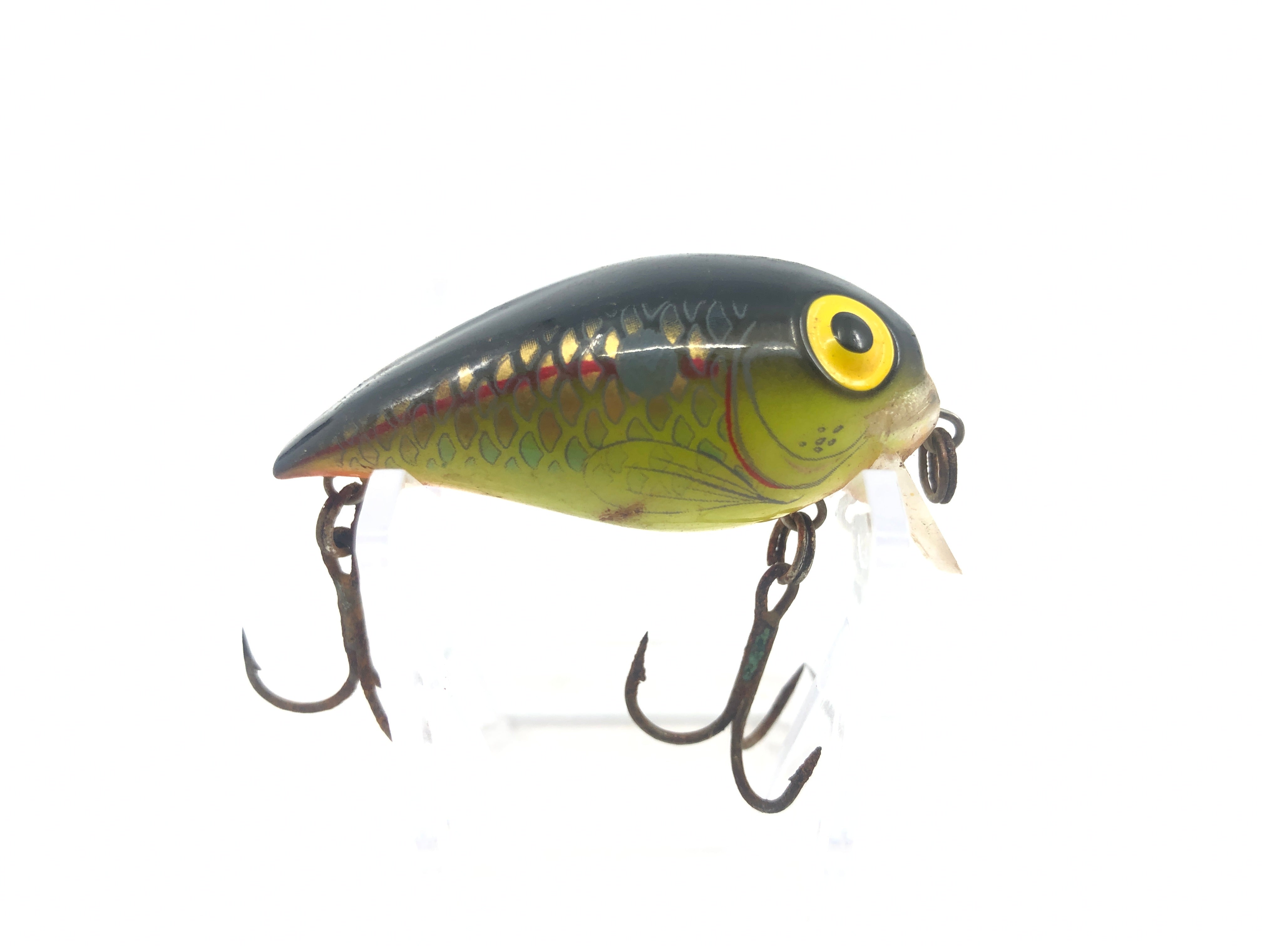 New in Box • Vintage STORM LURES Size 7 SUB WART Fishing Lure • GOLD F –  Toad Tackle