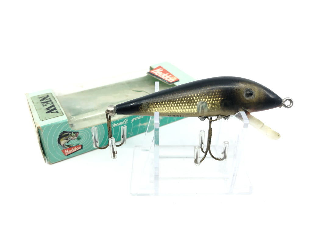 Heddon Magnum Tadpolly GFL Golden Bay Shiner Color  Fishing lures for  sale, Antique fishing lures, Shiner