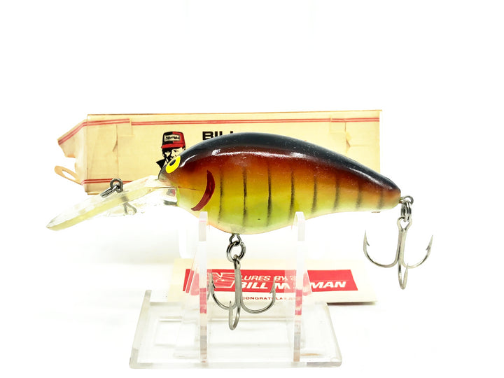 Norman Deep Big N 1800, #53 Bumble Bee Color with Box