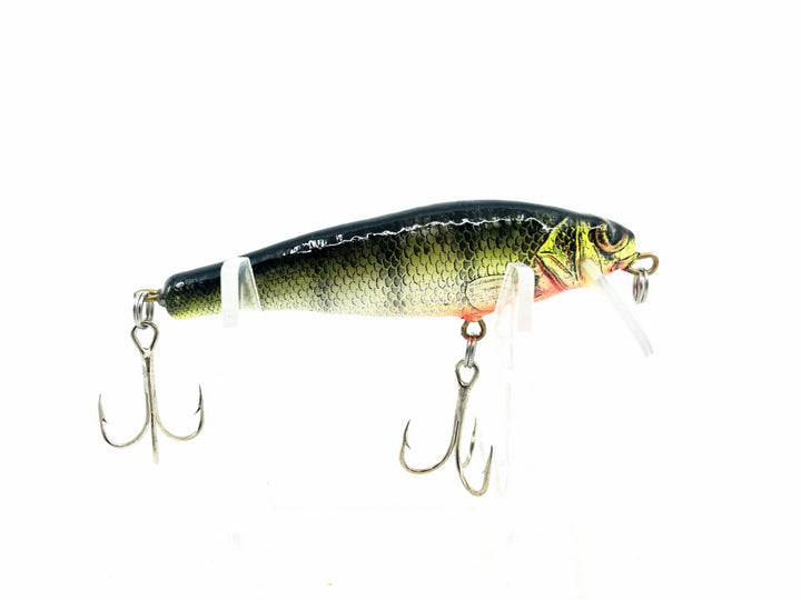 Bagley Small Fry 6SF3-P4, Perch on White Color