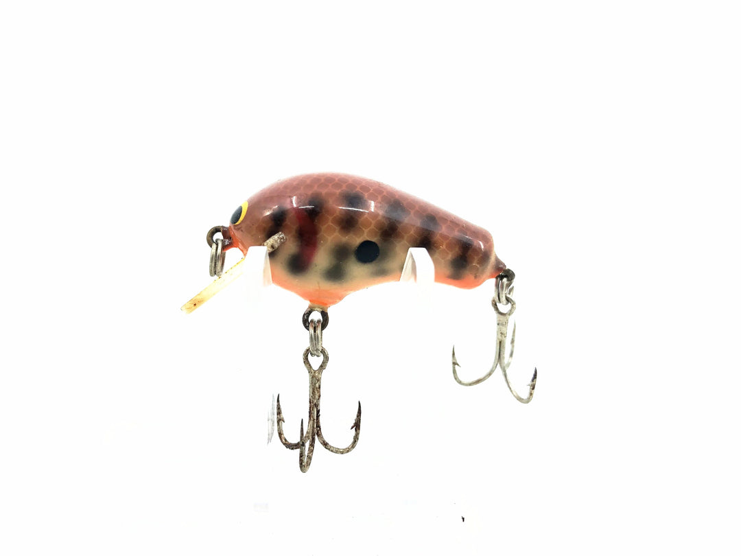 Bagley Honey B HB1-DC, Dark Crayfish Color