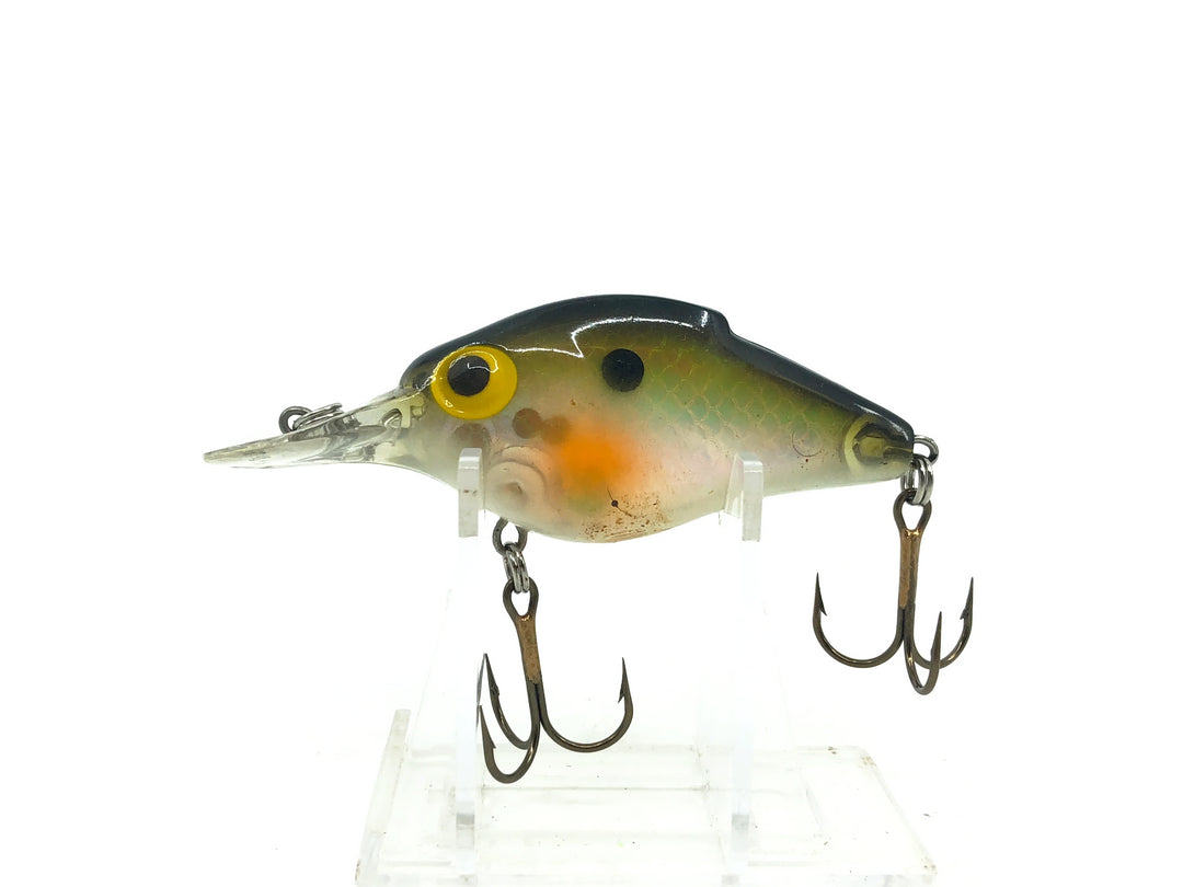 Storm Shallow Lightnin' Shad, Green Reflector/Black Back/Orange Gill Color