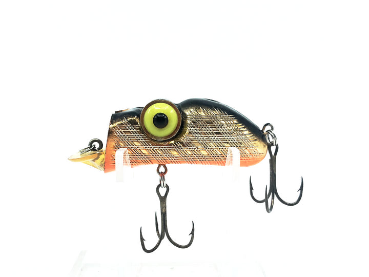 Rabble Rouser Rowdy, Gold/Black Back/Orange Belly Color