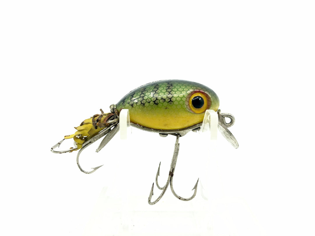 Arbogast Hula Dancer, P Perch Color