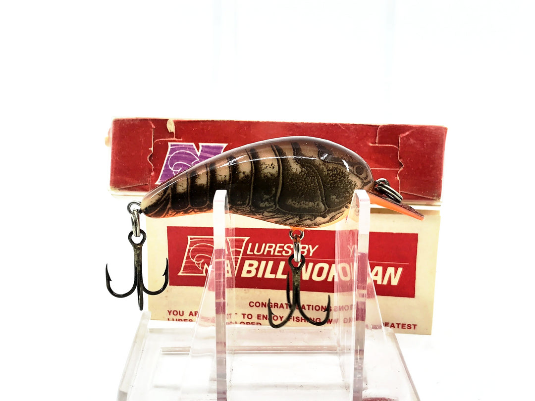 Norman Baby N 1950, NC Natural Craw Color New in Box