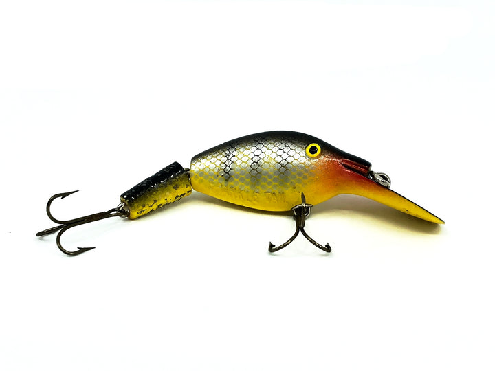 Sparkle Tail, Yellow Perch Color