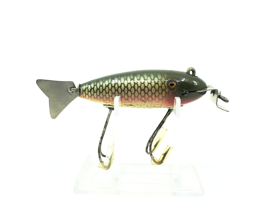 Creek Chub 800 Deluxe Wagtail Chub, #05 Dace Color-Early Version