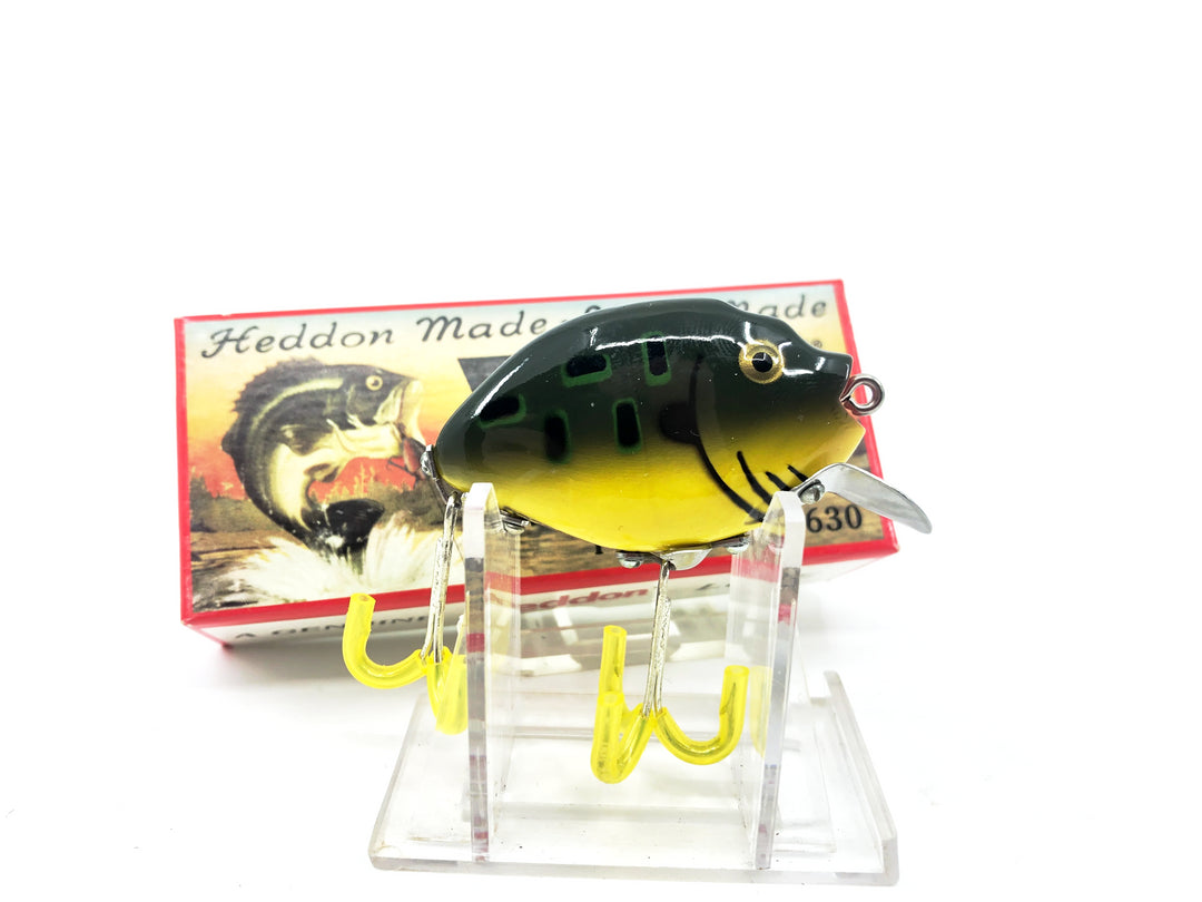 Heddon 9630 Punkinseed X9630BF Bullfrog Color New in Box