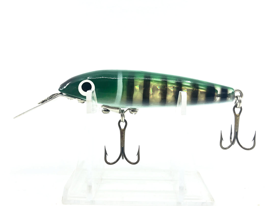 Cisco Kid 200 Series, Perch Color