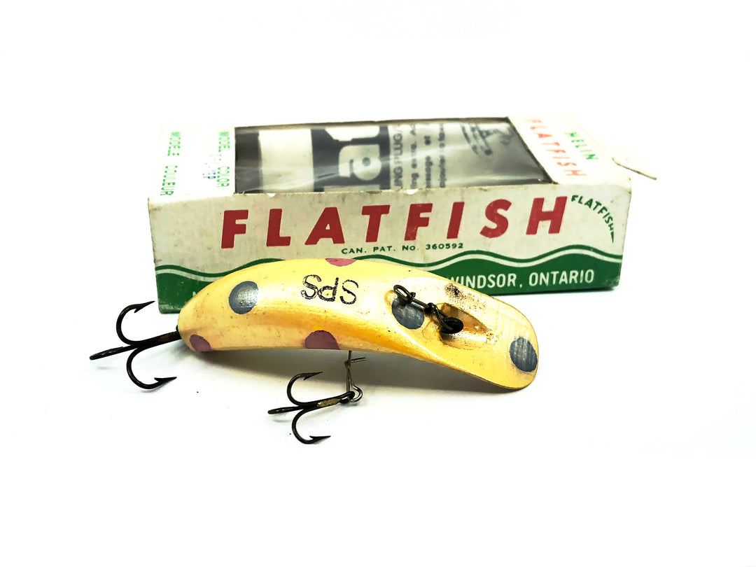 Helin Flatfish SPS, YEP Yellow Pearl Color with Box-Wooden