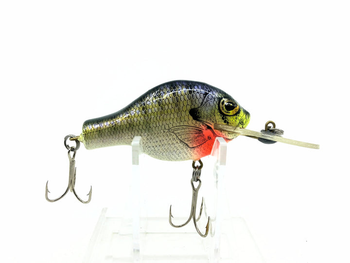 Bagley Small Fry 3DSF1-BR4 Blue Gill/White Belly Color