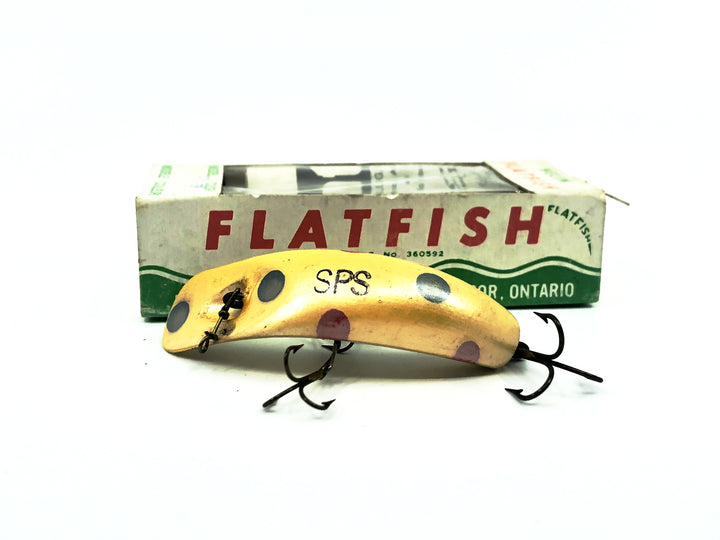 Helin Flatfish SPS, YEP Yellow Pearl Color with Box-Wooden