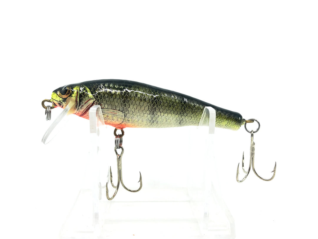 Bagley Small Fry 6SF3-P4, Perch on White Color