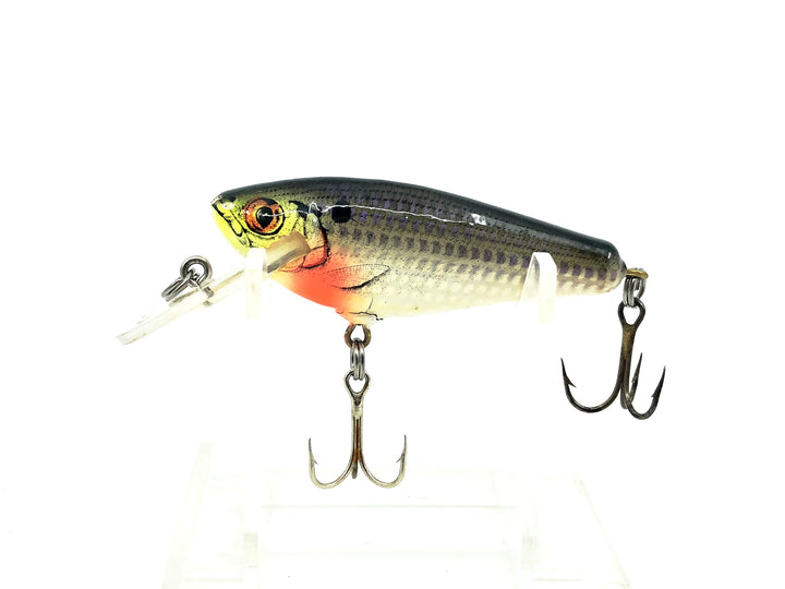 Bagley Small 4DSF2 Small Fry Shad, CSH Crippled Shad Color