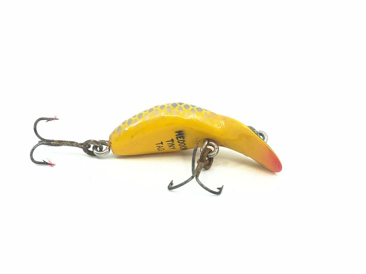 Heddon Tadpolly Tiny Tad, PG Golden Shiner Color