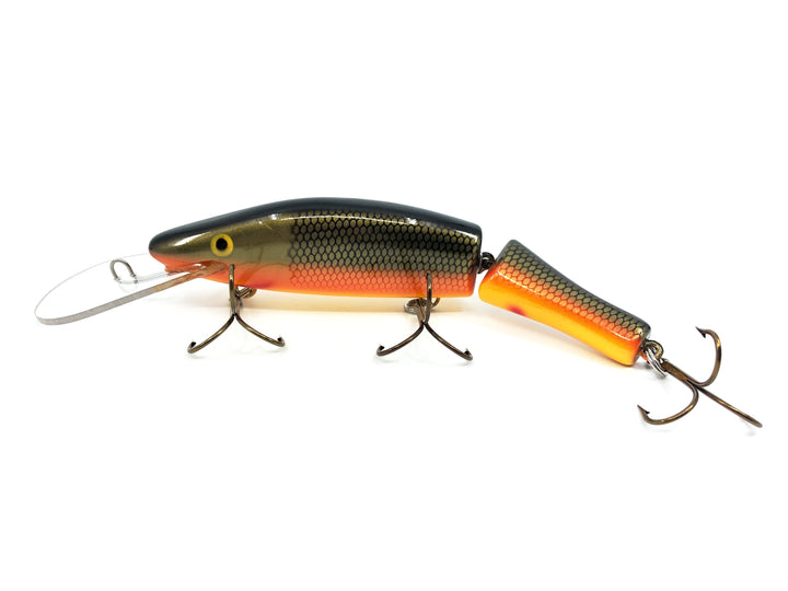 Legend Lures Jointed Perch Bait 10", Carp Color