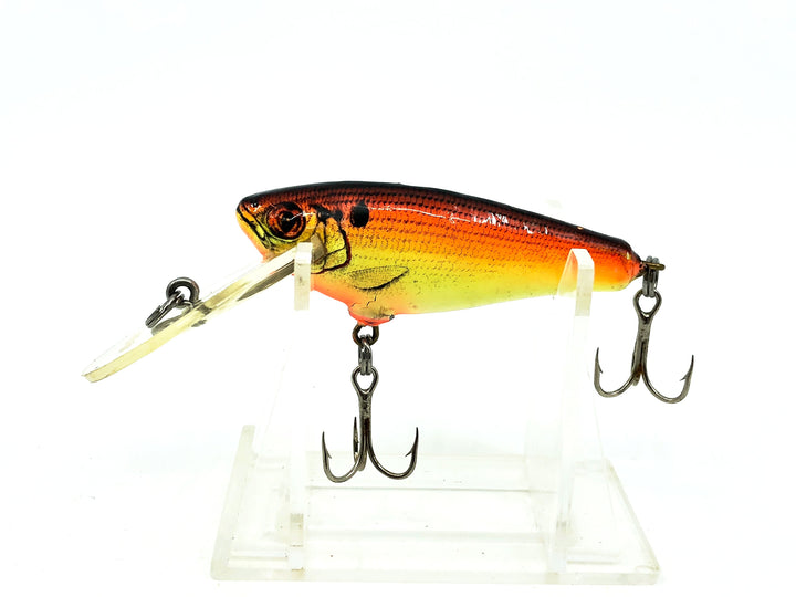 Bagley Small 4DDSF2 Small Fry Shad, Fire Glo Orange "Sundown" Color