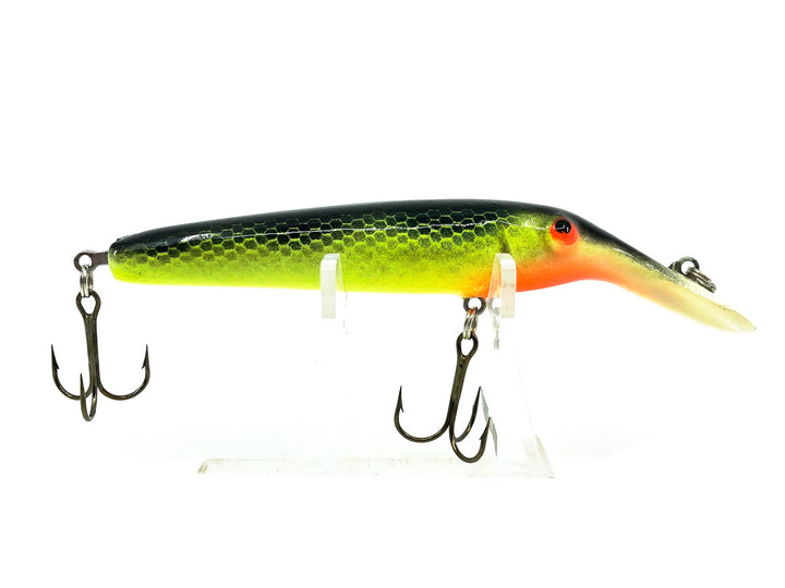 Lindy Baitfish, Perch Color