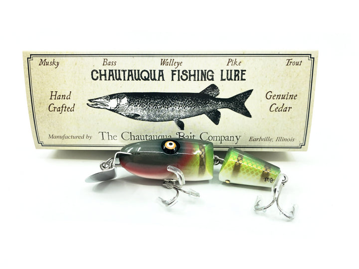 Chautauqua Lil' Creek Chub, Yellow Perch Color