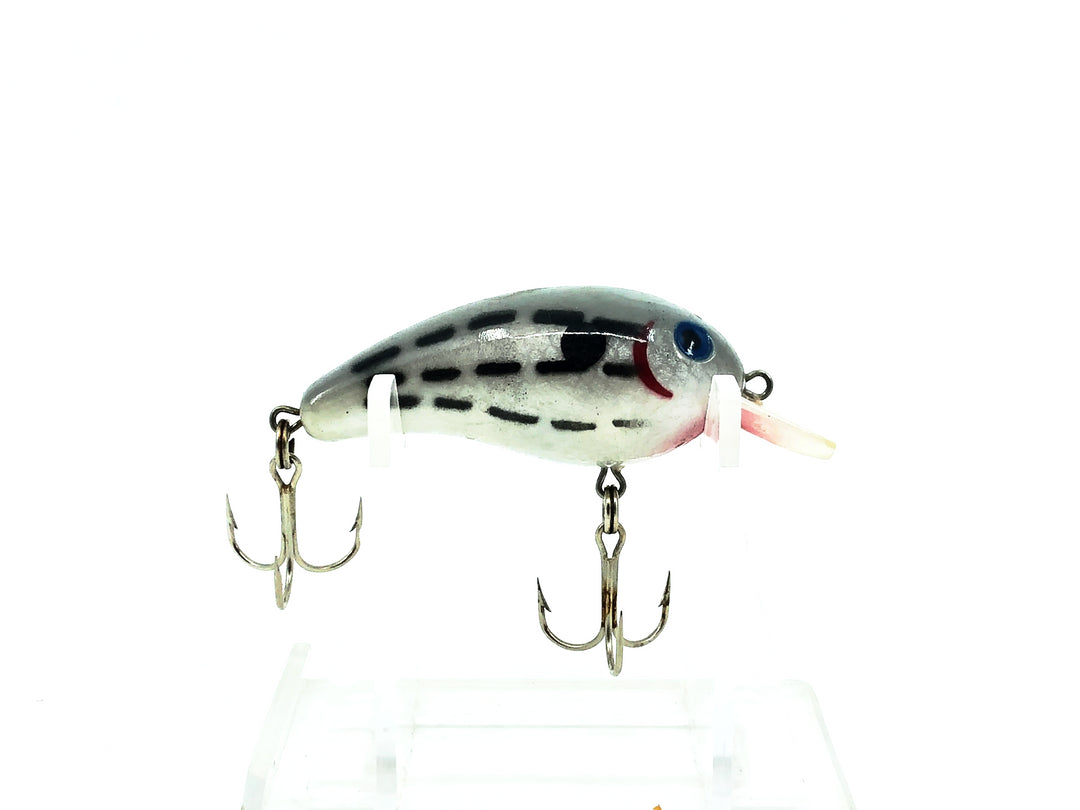 Cotton Cordell 7700 Big-O, #18 Barfish Color