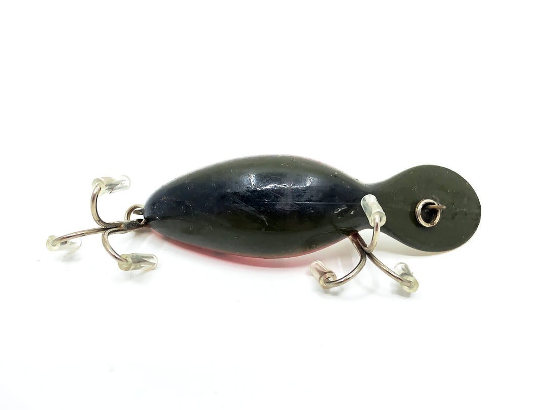 Heddon Clatter Tad, RT Rainbow Trout Color