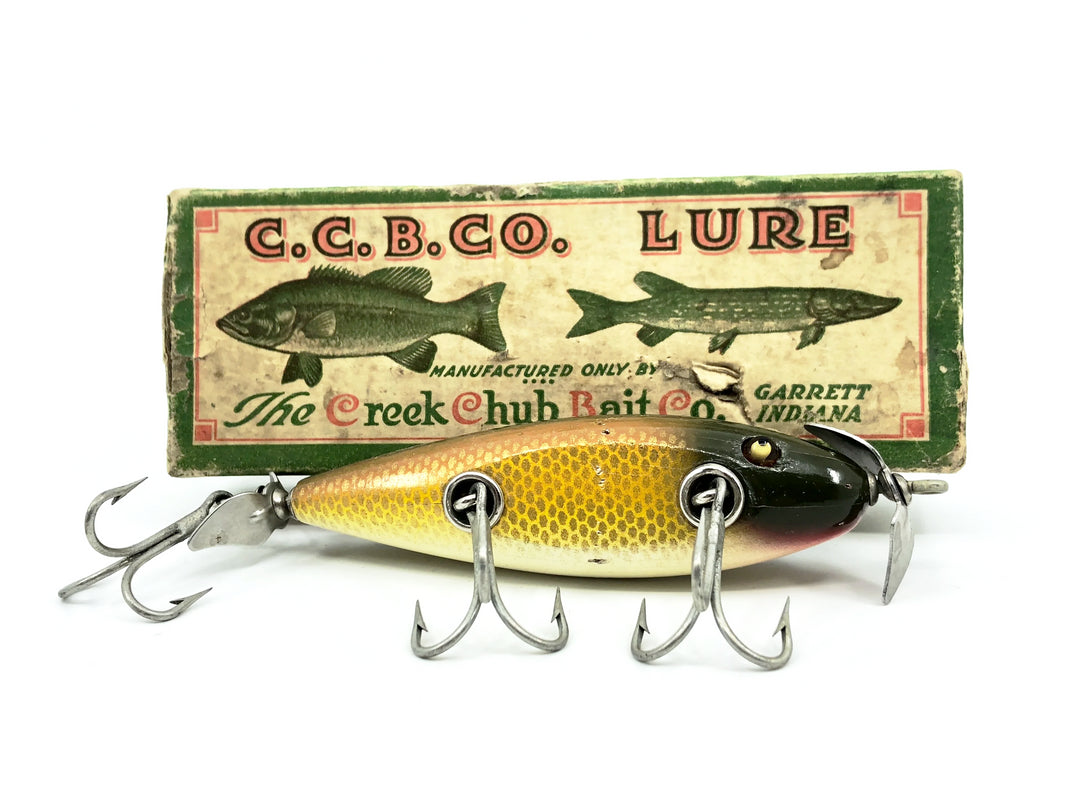 Creek Chub Injured Minnow 1500 Golden Shiner 1504 Color with Box