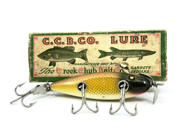 Creek Chub Injured Minnow 1500 Golden Shiner 1504 Color with Box