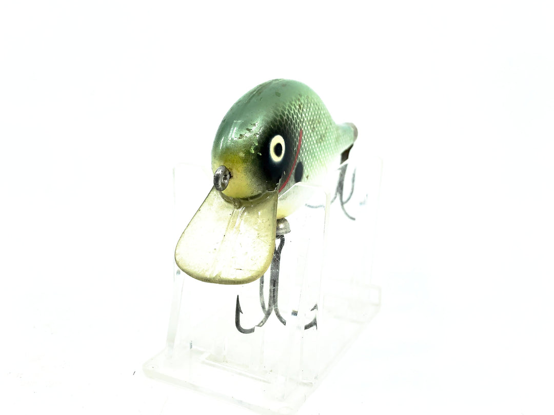 Doll Top Secret Shad / Green Scale Color