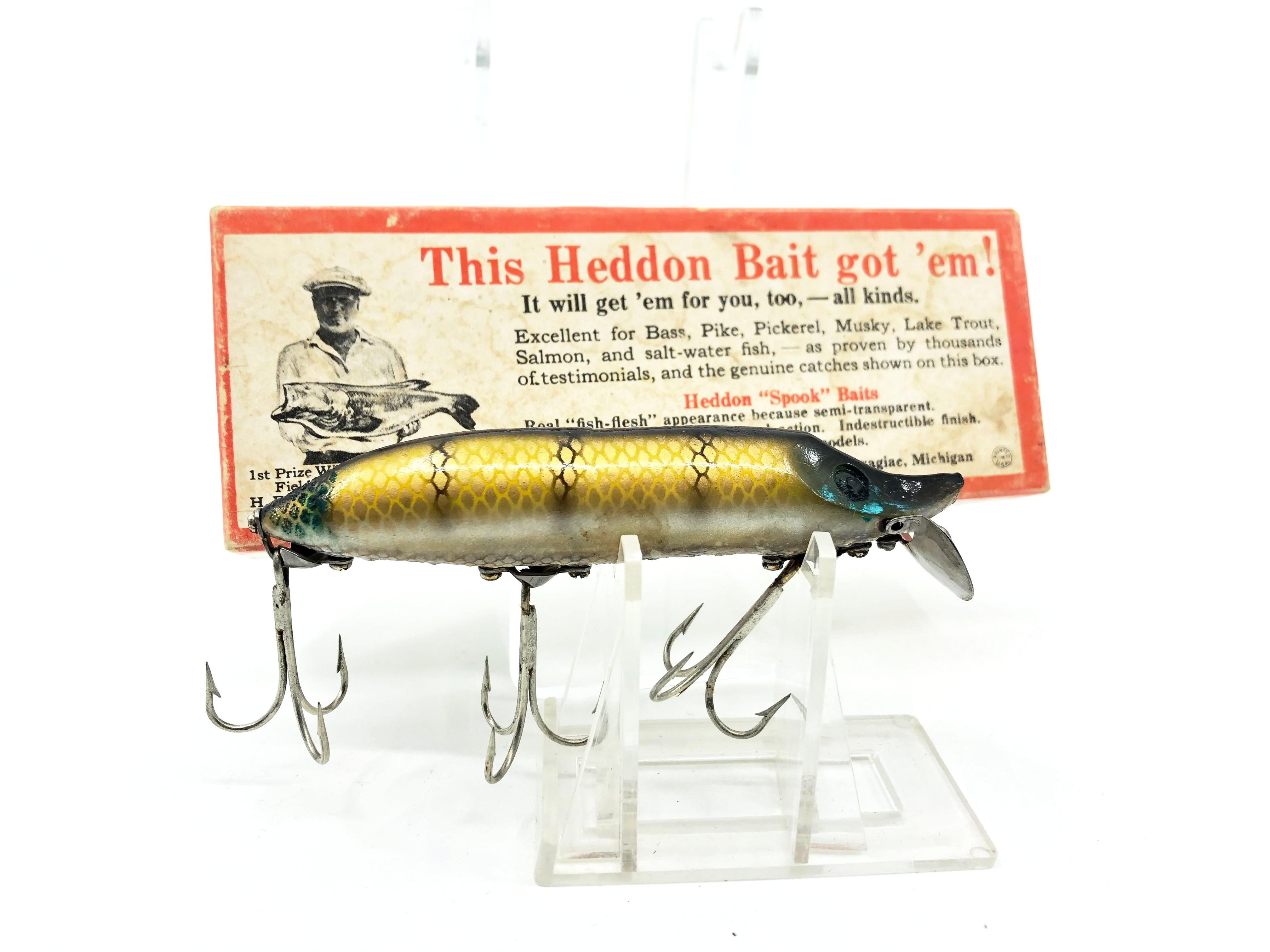 Heddon Vamp Spook 9750 M Pike Color with Brush Box-Tough – My Bait Shop ...