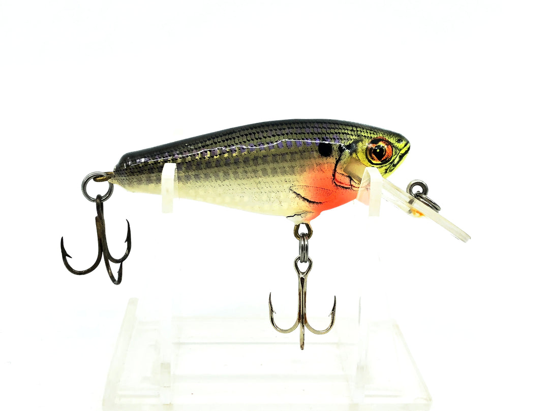 Bagley Small 4DSF2 Small Fry Shad, CSH Crippled Shad Color