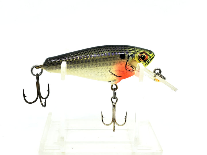 Bagley Small 4DSF2 Small Fry Shad, CSH Crippled Shad Color