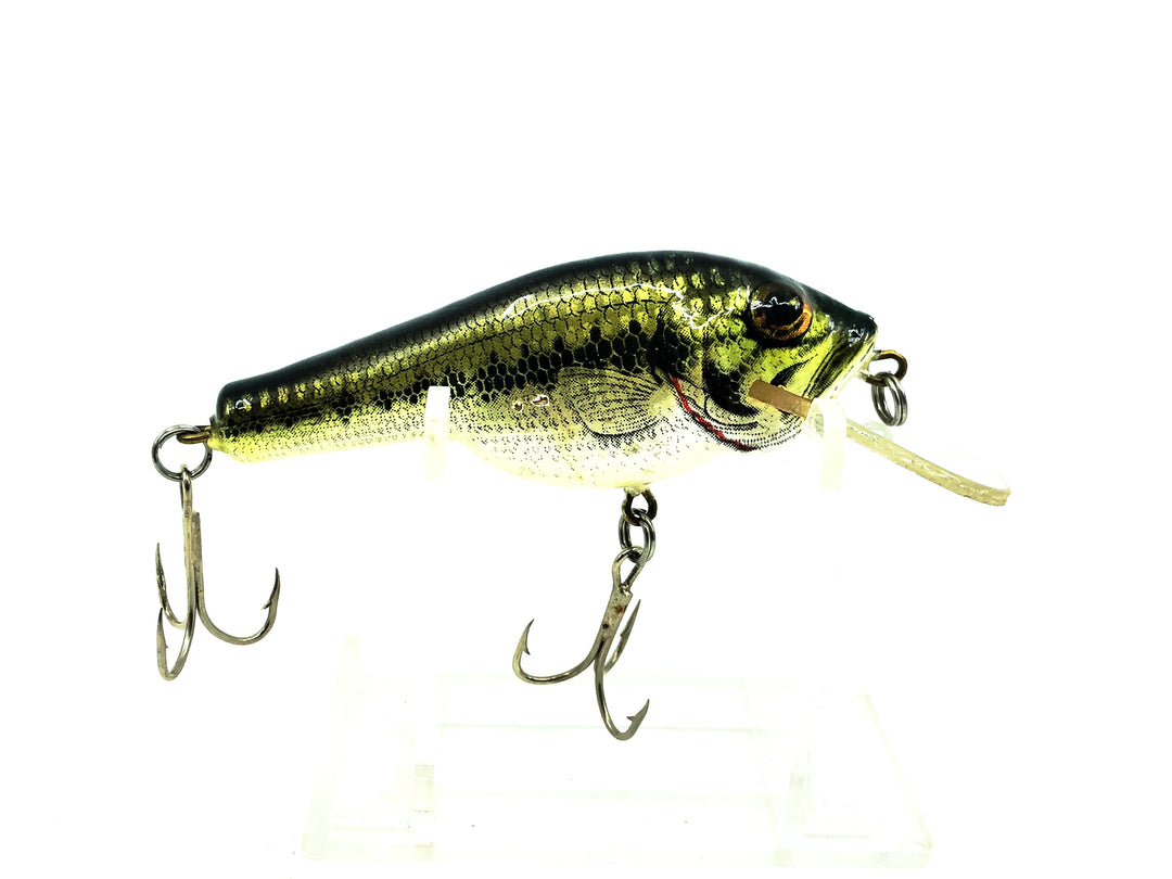 Bagley Small 1SF2 Small Fry Largemouth Bass, LB4 Little Bass on White Color