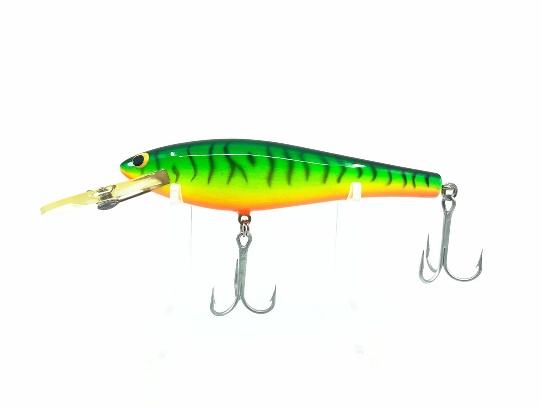 Bagley DB06, H69T Hot Tiger Color, Winter Haven Bait