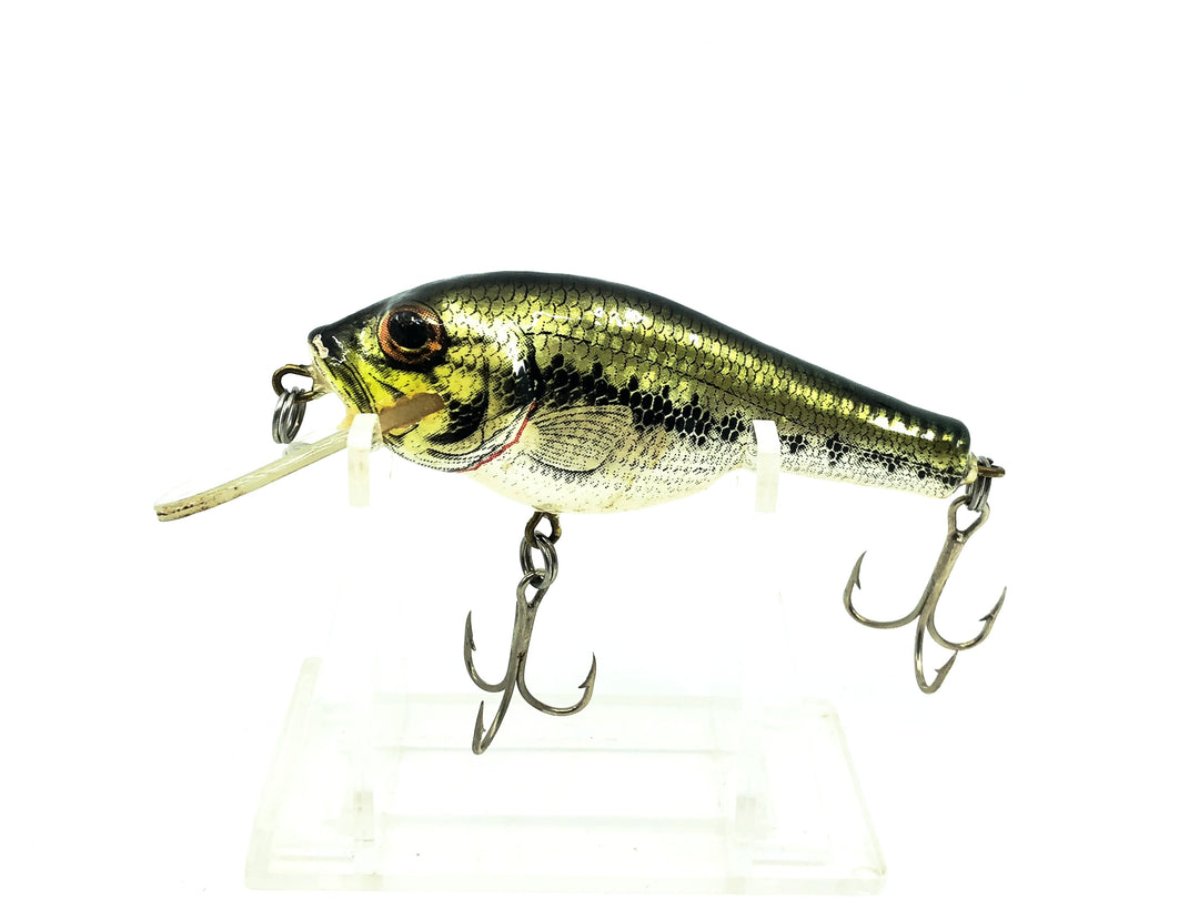 Bagley Small 1SF2 Small Fry Largemouth Bass, LB4 Little Bass on White Color