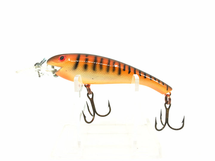 Cotton Cordell Wally Diver Shallow, Orange Tiger Color