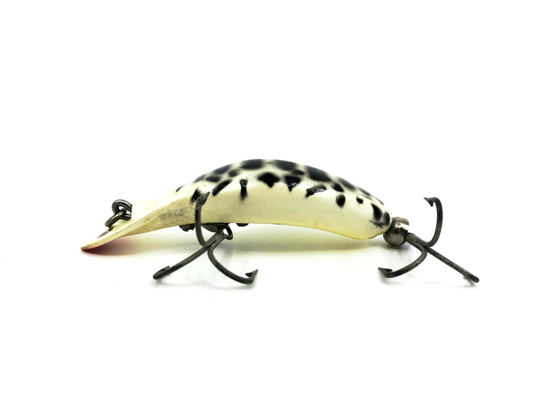 Heddon Tadpolly, CD Coachdog Color