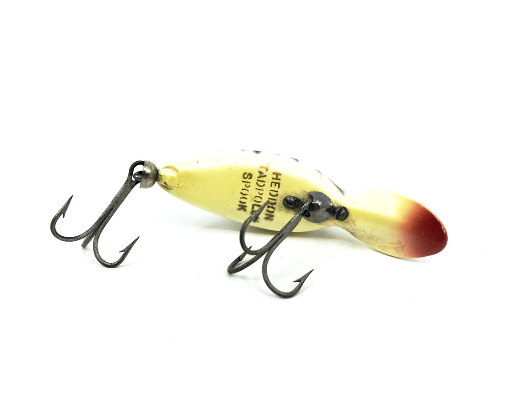 Heddon Tadpolly, CD Coachdog Color