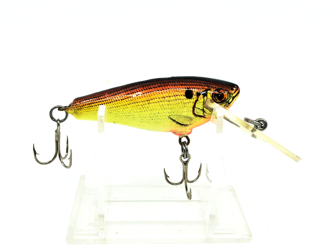 Bagley Small 4DDSF2 Small Fry Shad, Fire Glo Orange "Sundown" Color