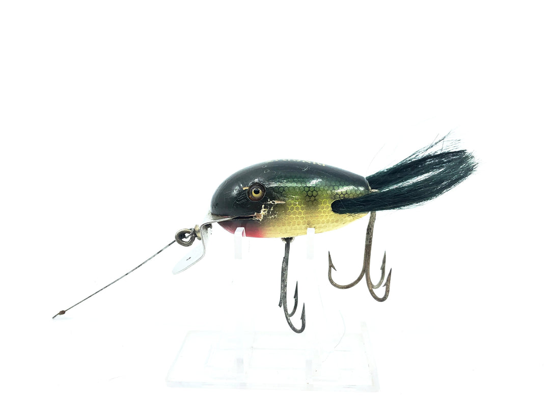 Creek Chub 5100 Dingbat in Perch Color 5101