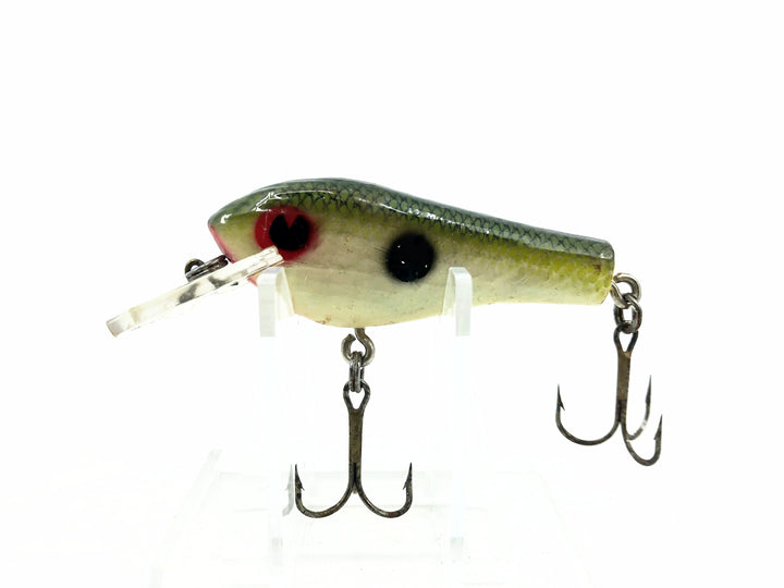 Poe's Super Cedar RC-1, Green Scale/White Belly Color