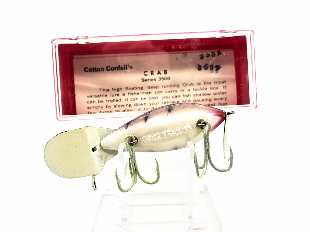 Cotton Cordell Crab Series 3500, #33 Crawdad Color with Box