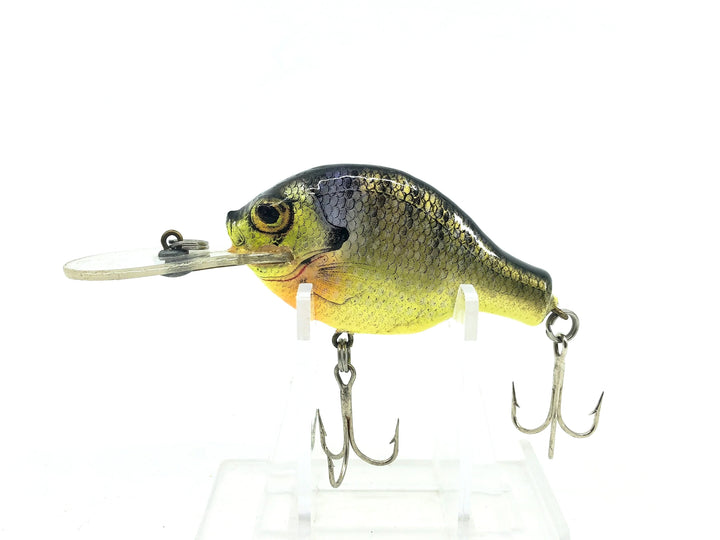 Bagley Small Fry 3DSF1, BR9 Bream on Chartreuse Color