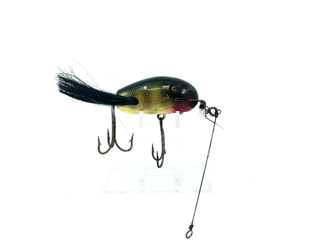 Creek Chub 5100 Dingbat in Perch Color 5101