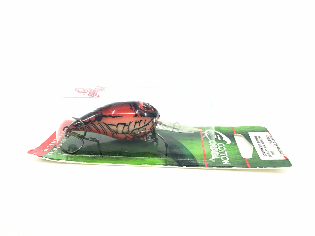 Cordell Wiggle-O, Hot Craw Bug Color on Card