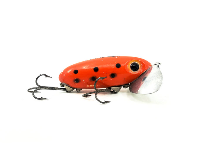 Arbogast Jitterbug 3/8oz, #39 Orange Black Spots, Bugged Eyed Model